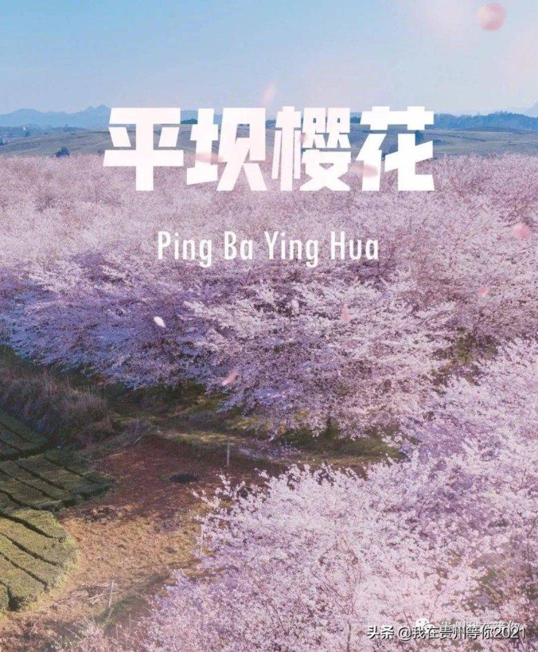 快算数学题