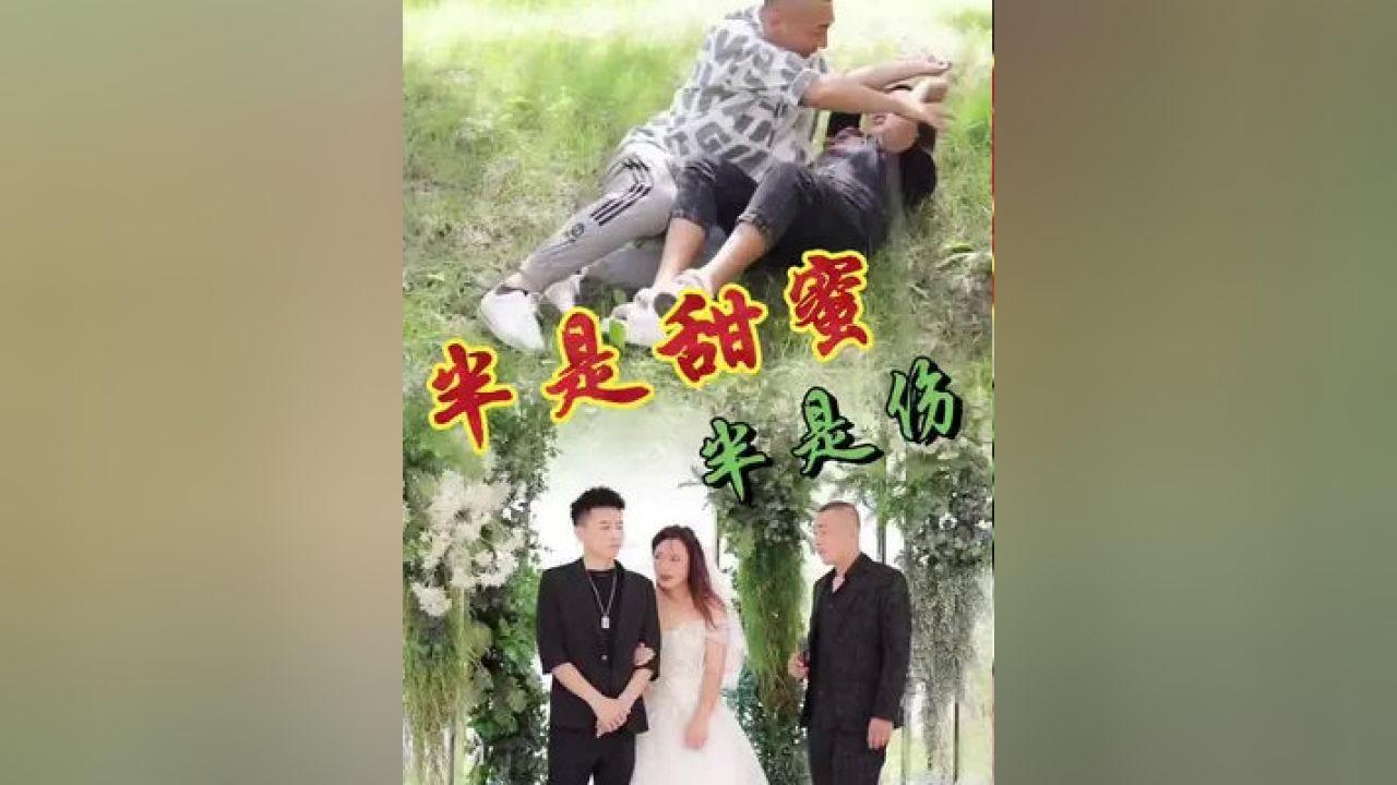 瑞德的冒险之旅中文版