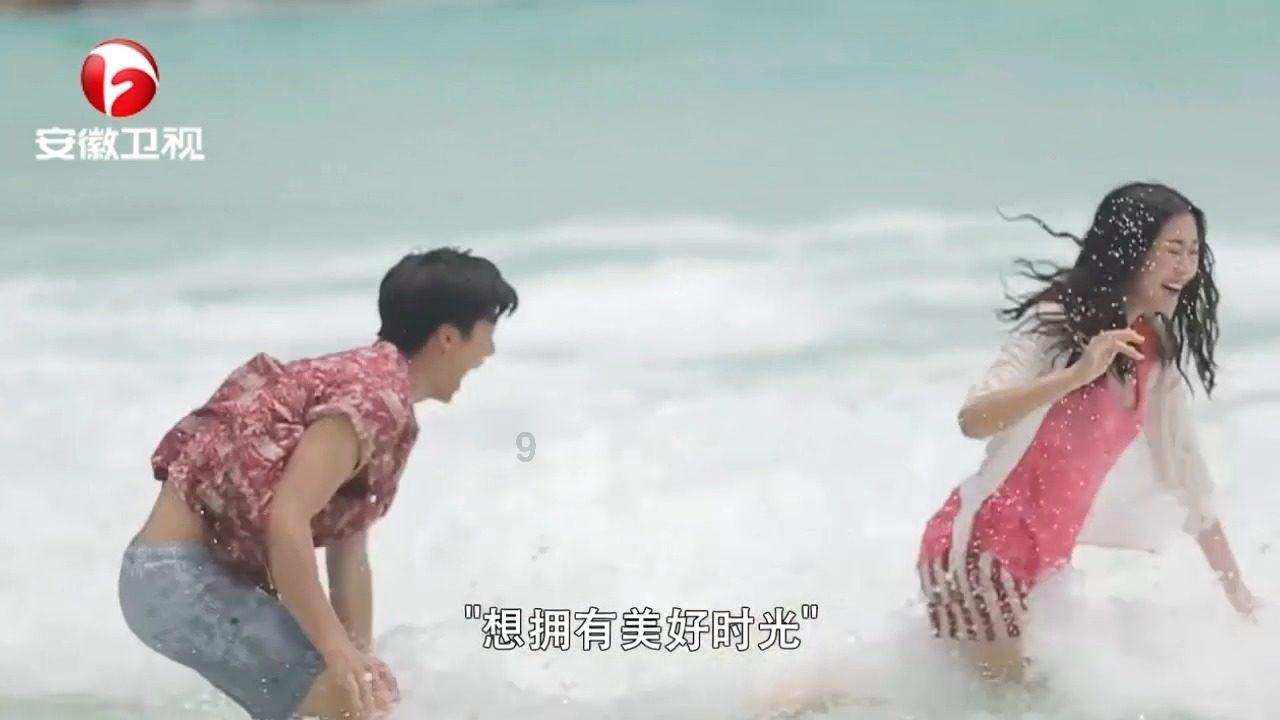 动物拼一拼