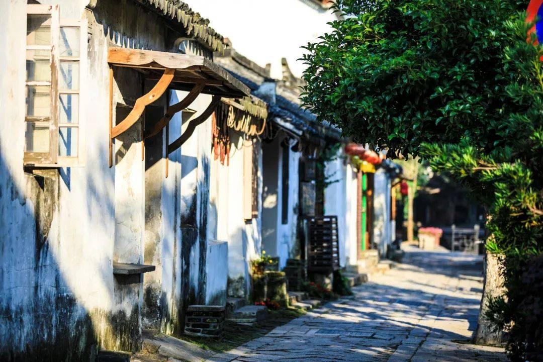 拯救老科学家
