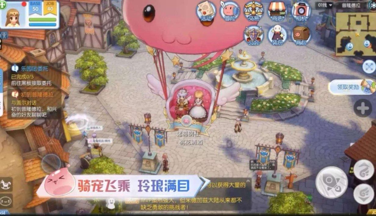 盐和避难所